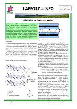 le bebntoniti ed il microcol alpha