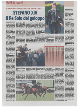 ` STEFANO XIV il Re Solo del galoppo