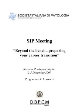 SIP Meeting