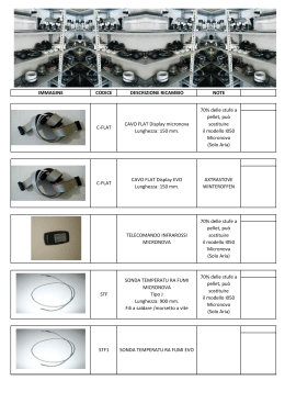 SONDA TEMPERATU RA FUMI MICRONOVA Tipo J