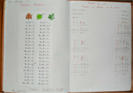 Secondo_step_quad_mate4