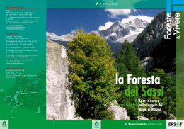 la Foresta dei Sassi