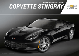 Scaria Corvette Stingray combinzione di Colori esterni
