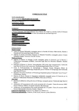 curriculum vitae