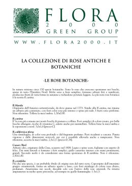 la collezione di rose antiche e botaniche
