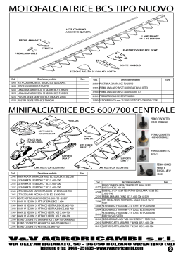 02 MFC BCS T. NUOVO - MINIF. BCS 600