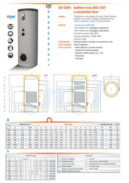 n SFI-DSFI: bollitore inox AISI 316T