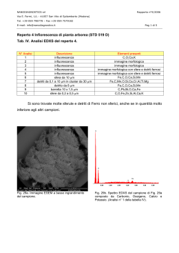 Reperto 4 Infiorescenza di pianta arborea (STD