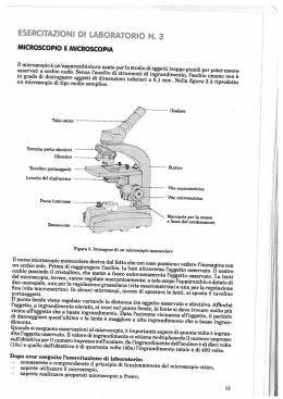 microscopio e microscopia