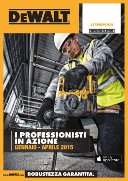 I PROFESSIONISTI IN AZIONE