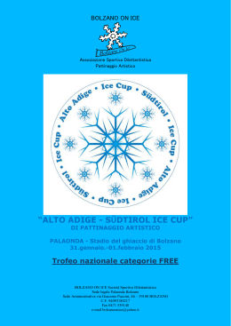 Programma definitivo