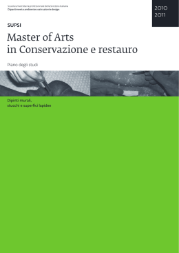 Master of Arts in Conservazione e restauro