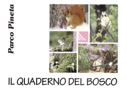IL QUADERNO DEL BOSCO