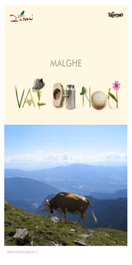 MALGHE - APT Val di Non