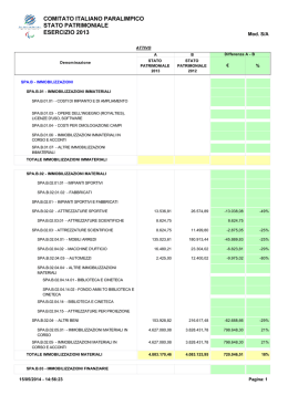 Stato Patrimoniale_2013 - Comitato Italiano Paralimpico