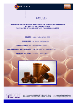 Visualizza il catalogo in formato PDF