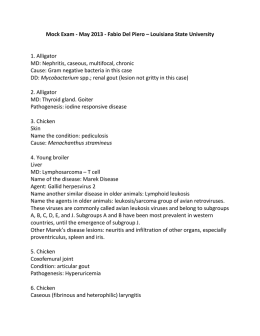 Mock Exam - May 2013 - Fabio Del Piero &ndash; Louisiana