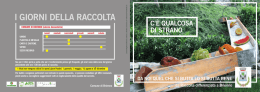 C`&Egrave; QUALCOSA DI STRANO