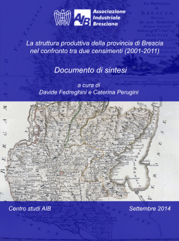 (2001 – 2011) Documento di sintesi
