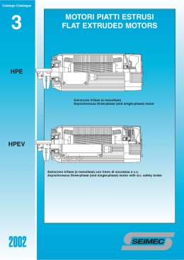 MOTORI PIATTI ESTRUSI FLAT EXTRUDED MOTORS