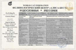Il Pedigree di Volat Vaj Barselit