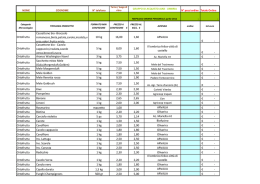 Ortofrutta Cassettone bio -Broccolo romanesco,bieta