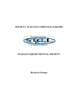 SOCIETA` ITALIANA CRISTALLI LIQUIDI ITALIAN LIQUID