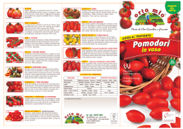 Pomodori in vaso