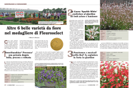 Altre 6 belle varietà da fiore nel medagliere di Fleuroselect