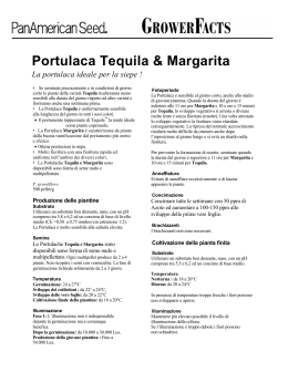 Portulaca Tequila & Margarita