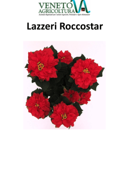 Lazzeri Roccostar - Veneto Agricoltura