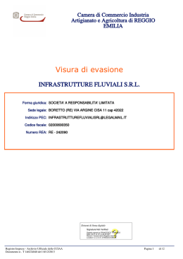 Visura di evasione - Infrastrutture Fluviali