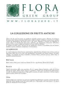 FRUTTI ANTICHI