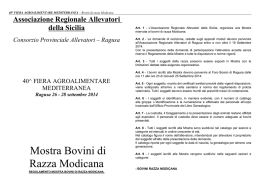 Mostra Bovini di Razza Modicana