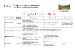 Fragola Unifera 2015