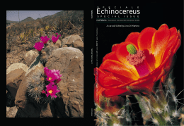 Echinocereus Special Issue