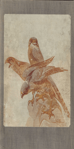 Ornitologia italiana - Sistema Bibliotecario di Ateneo