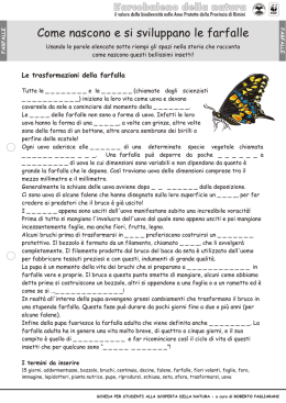 Scheda SS10 - Lepidotteri e bruchi.cdr