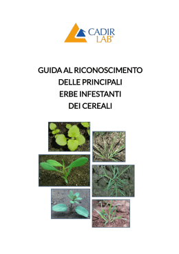 Guida al riconoscimento Infestanti