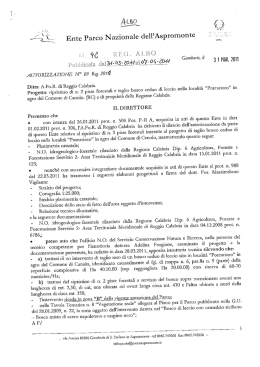 Ditta: A.Fo.R. di Reggio Calabria Ripristino n. 2 piste e taglio bosco