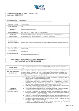 CURRICULUM VITAE DI SANTE PETROCCHI aggiornato al 26/6