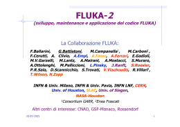 FLUKA-2