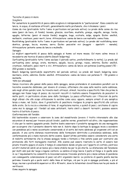 Tecniche Di Pesca In Mare