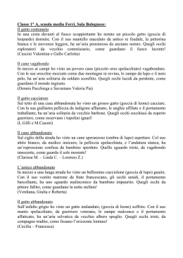 Classe 1° A, scuola media Ferri, Sala Bolognese: Il