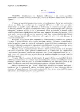 seduta del 22 febbraio