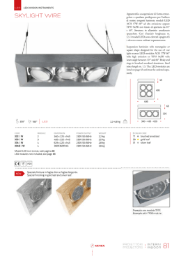 LED DIVISION INSTRUMENTS