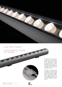 due tiPi di gAnci tWo sPeciAL tYPes oF hooks