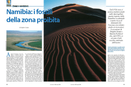 Namibia: i fo5 della zona pr