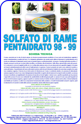 - B&G Produzioni Srl