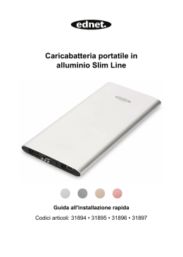 Caricabatteria portatile in alluminio Slim Line